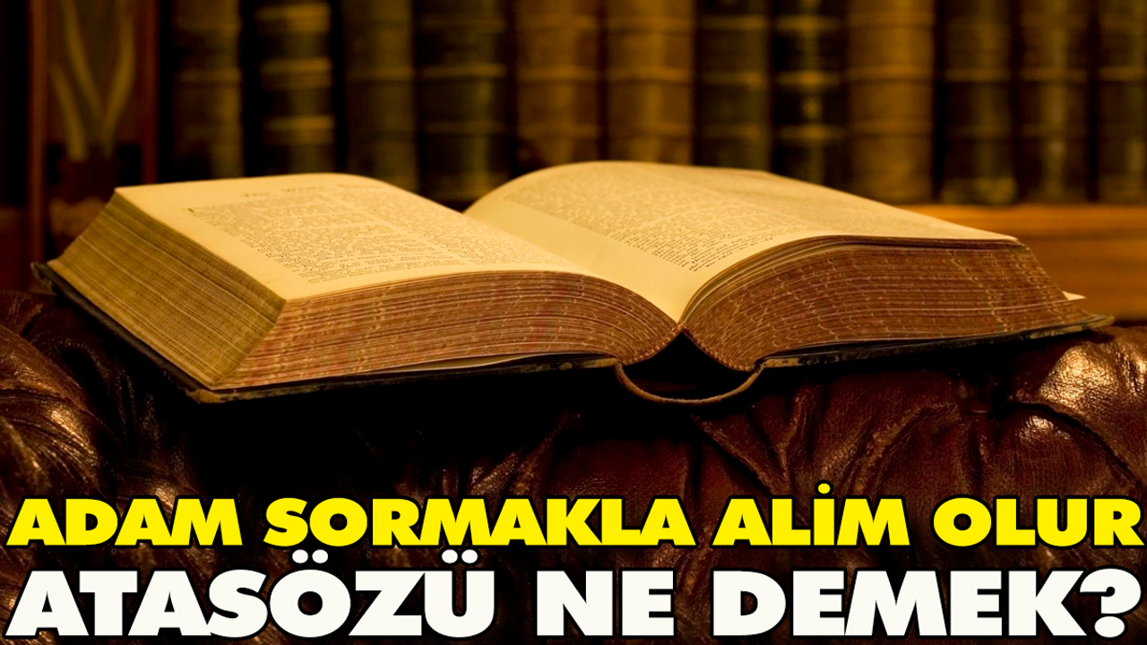 Adam sormakla alim olur atasözü ne demek?