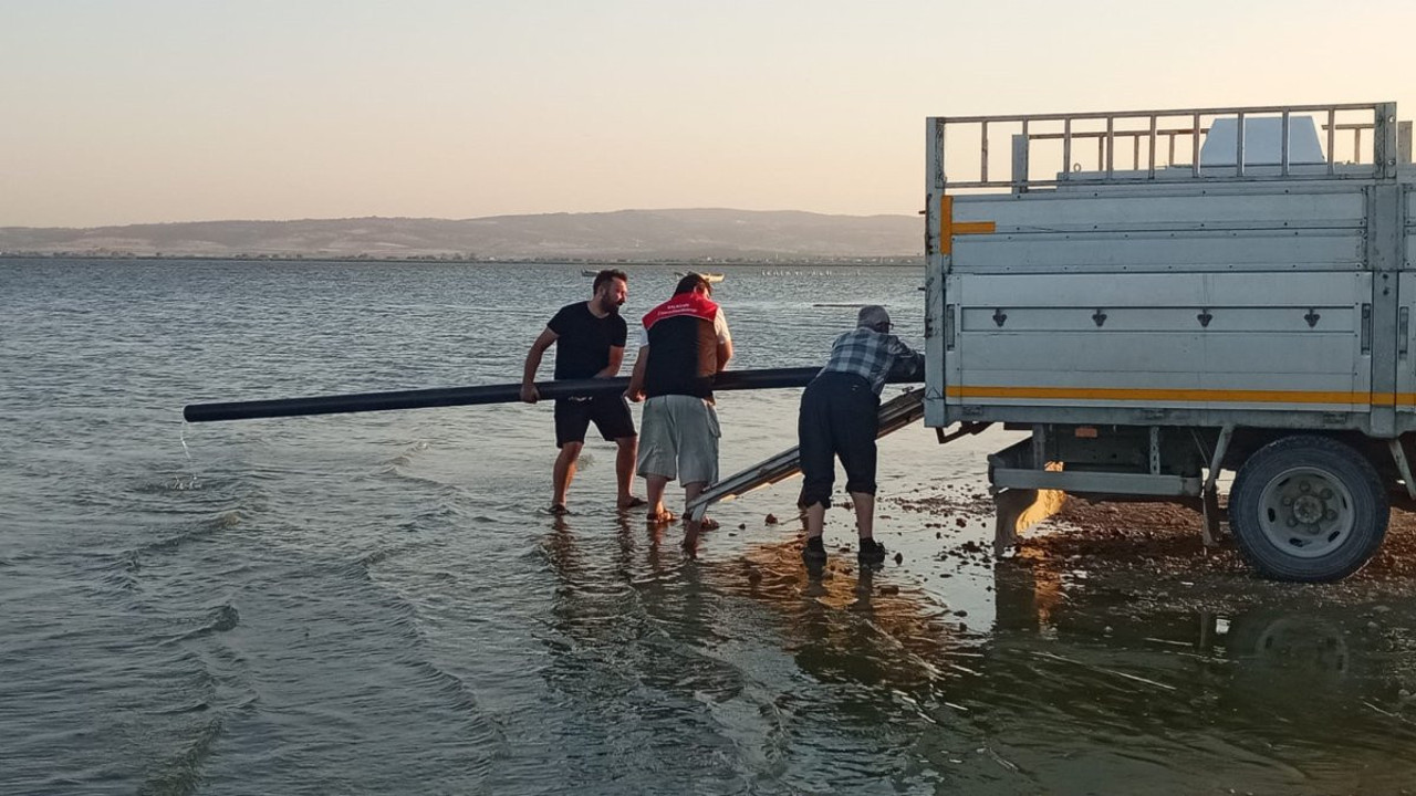 Manyas gölüne sazan balığı yavruları salındı