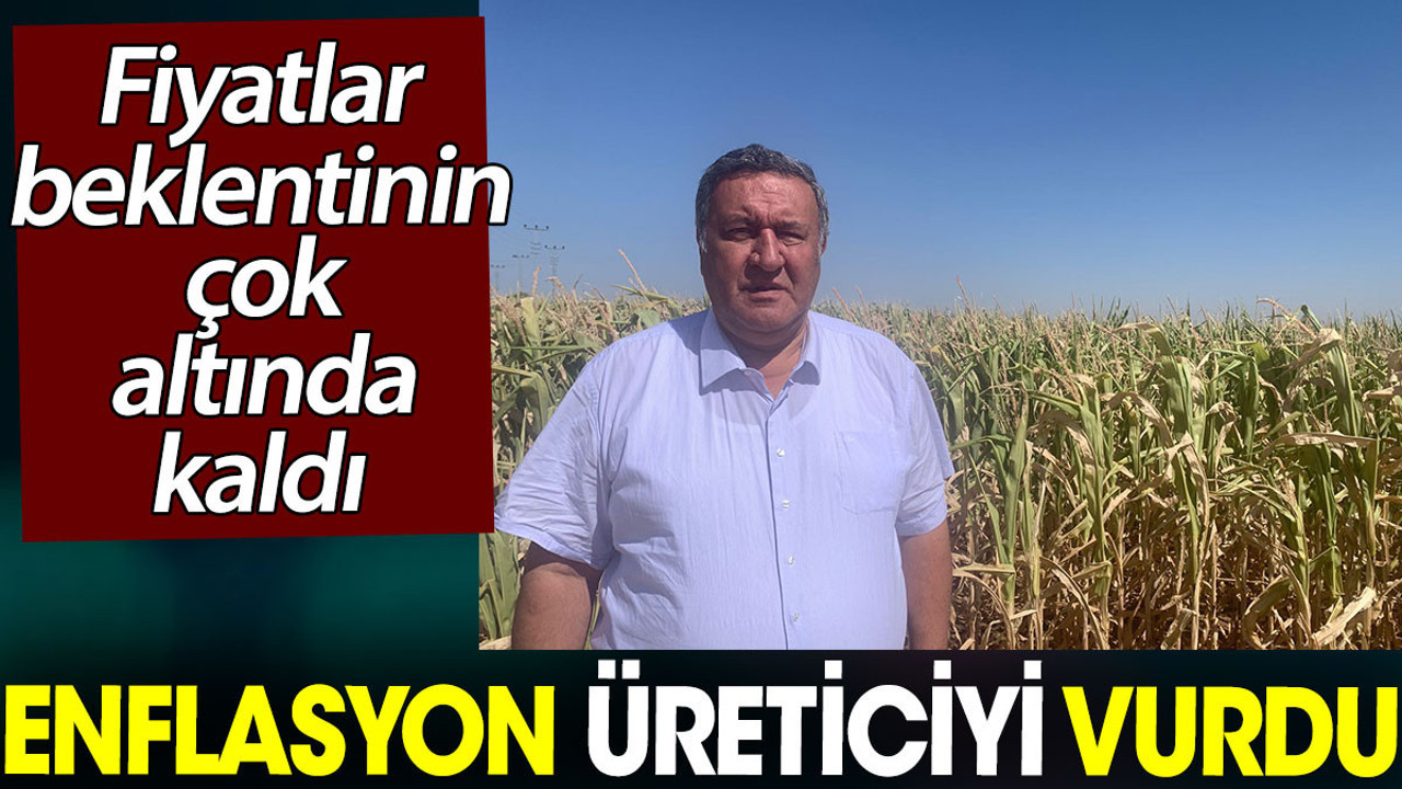Enflasyon üreticiyi vurdu. Fiyatlar beklentinin çok altında kaldı