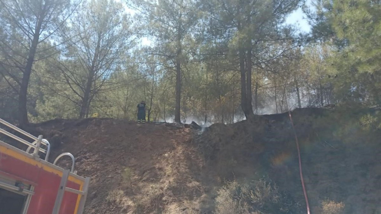 Hatay’da orman yangını büyümeden söndürüldü