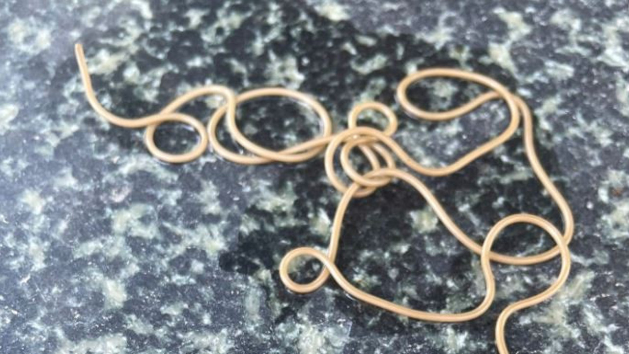 Köylü çeşmeye su içmeye gidince gördü. Ne başı belli ne sonu