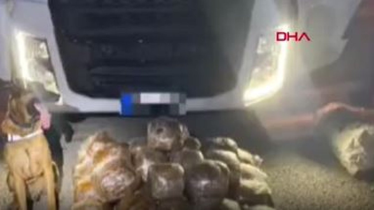 Arpa yüklü TIR'daki 40 kilo uyuşturucuyu 'Pars' yakaladı