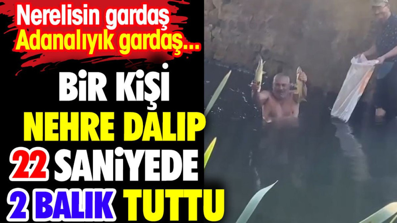 Bir kişi nehre dalıp 22 saniyede eliyle 2 balık tuttu. Nerelisin gardaş Adanalıyık gardaş...