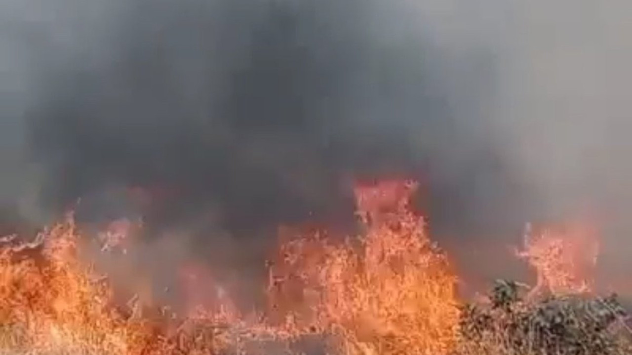 Denizli'de çıkan yangın ormana sıçramadan söndürüldü