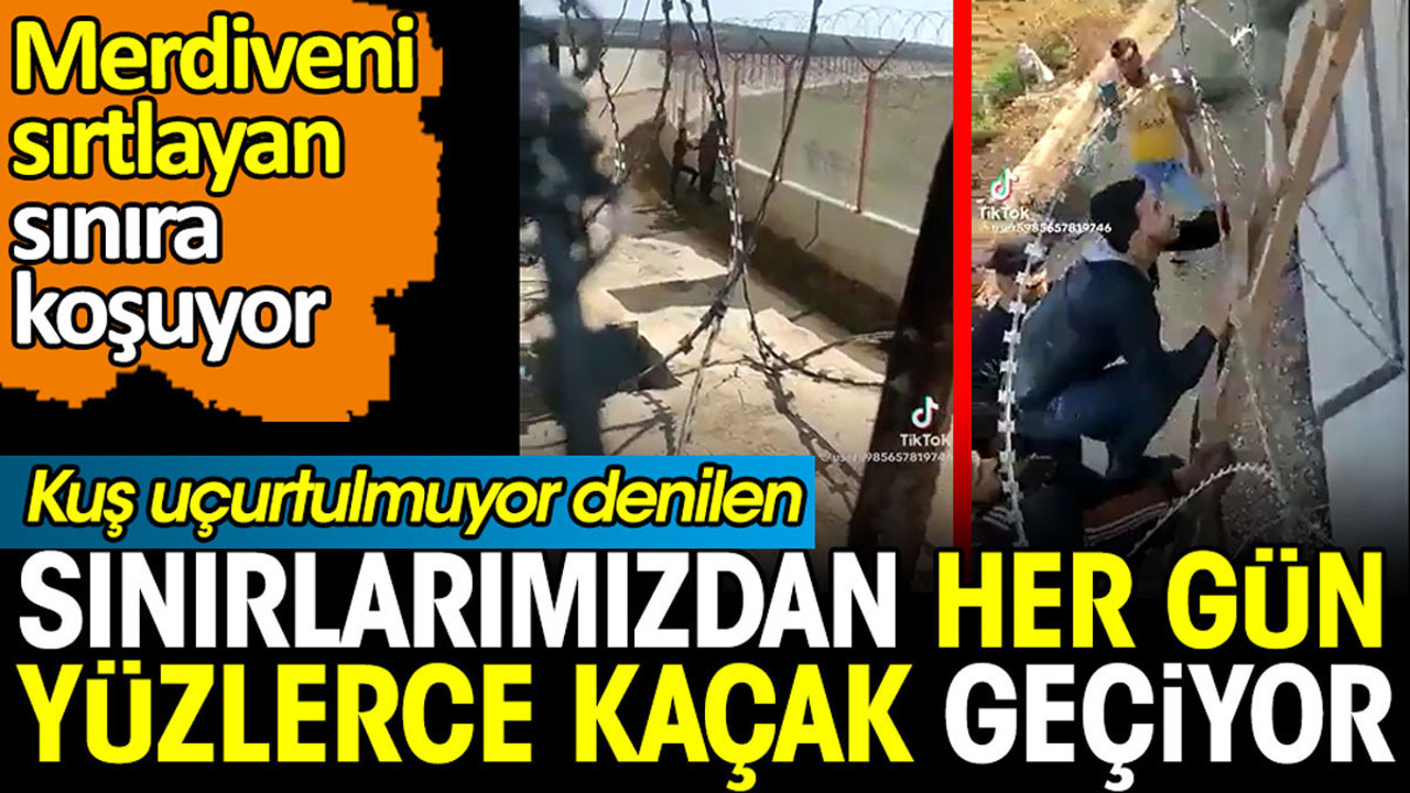 Sınırlarımızdan her gün yüzlerce kaçak geçiyor. Merdiveni sırtlayan Suriyeliler sınıra koşuyor