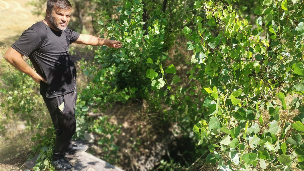 DSİ'nin kanal kapaklarını kapatmasıyla yüzlerce balık öldü