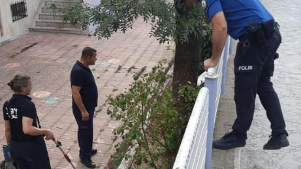 Okul bahçesindeki yılan paniğe neden oldu