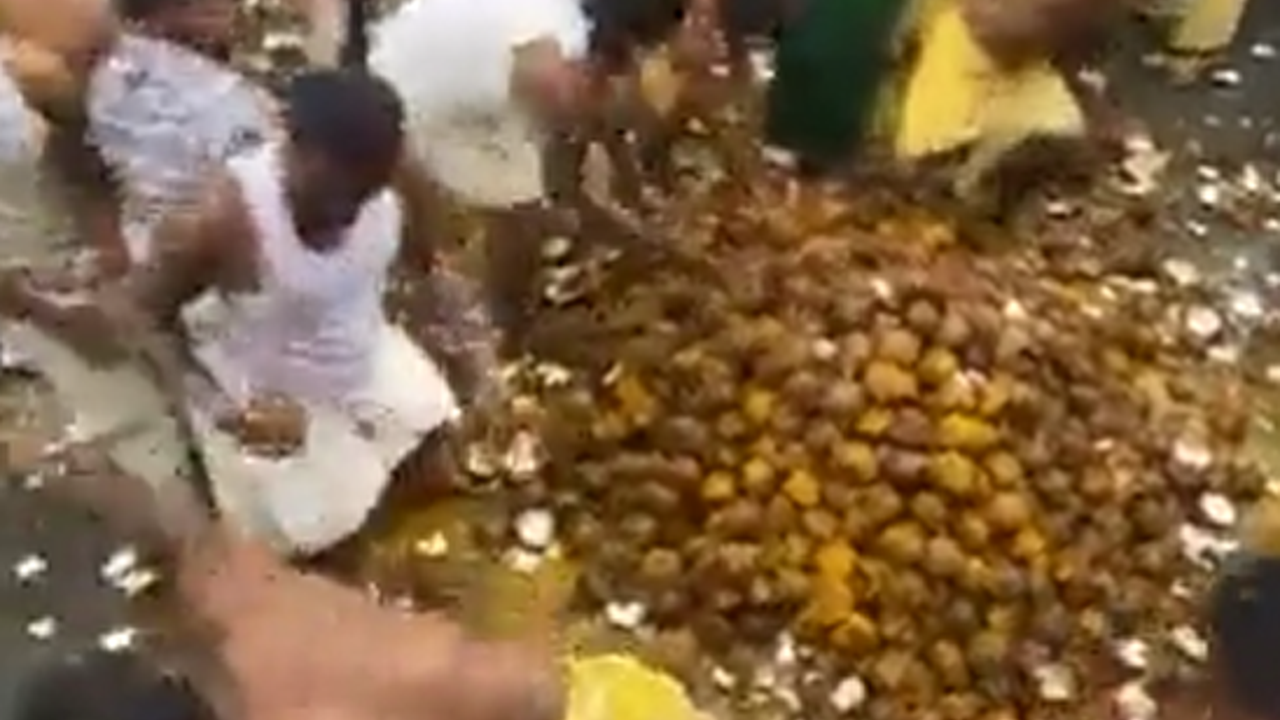 Hindu festivali Paris’i birbirine kattı