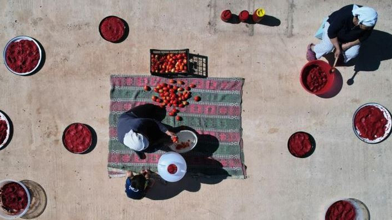 Köylüler kendileri üretiyor pazarda kilosu 250 TL