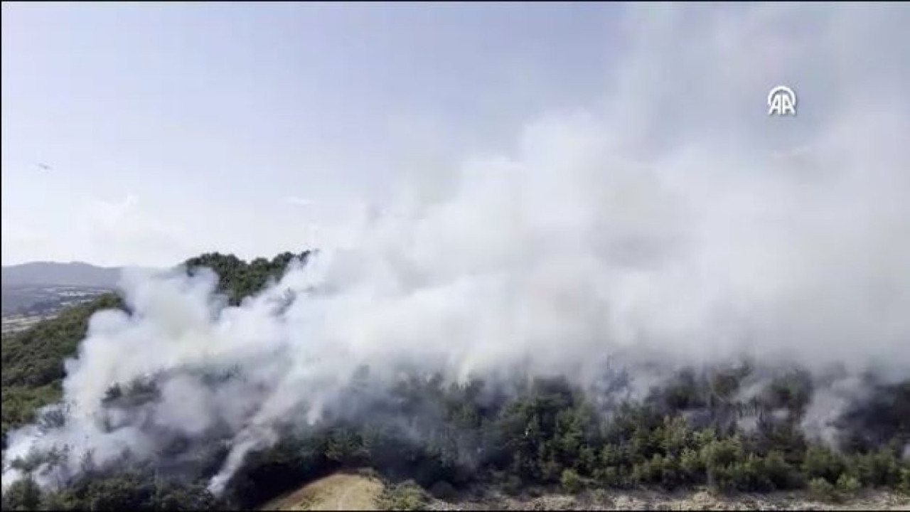 Çanakkale'de orman yangını (30 Ağustos 2023)