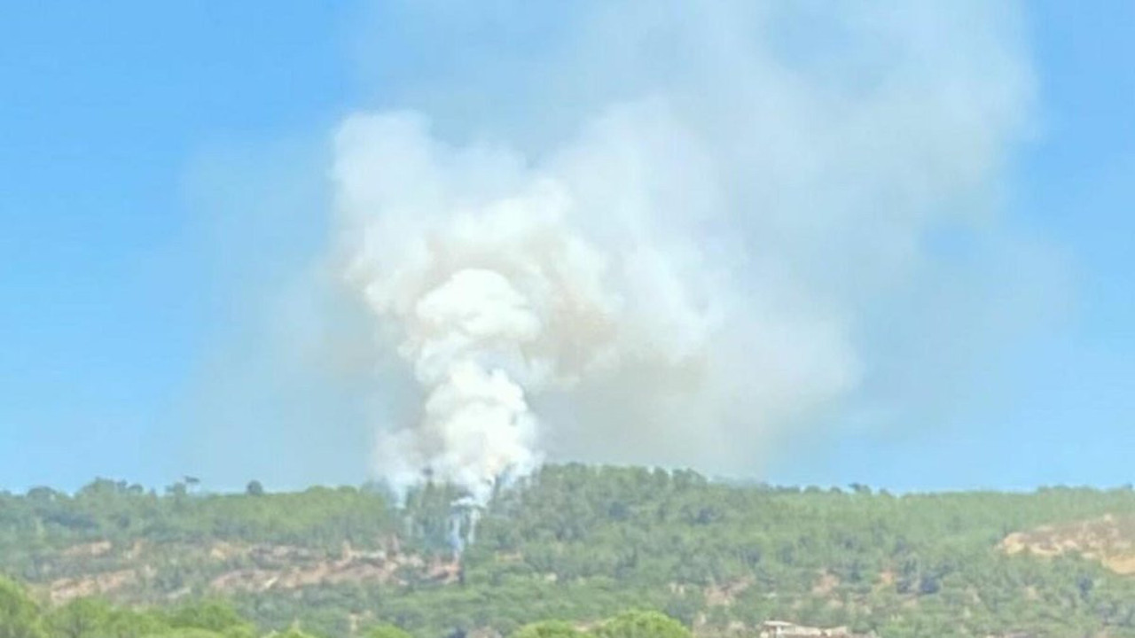 Muğla'da orman yangını: 1 hektar alan zarar gördü