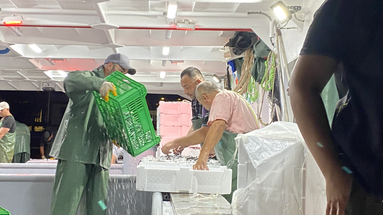 Av yasağının bitmesiyle sezonun ilk balıkları avlandı