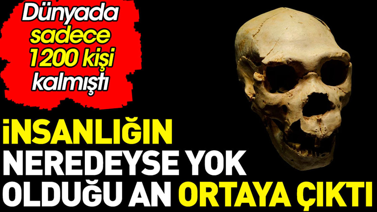 İnsanlığın neredeyse yok olduğu an ortaya çıktı. Dünyada sadece 1200 kişi kalmıştı