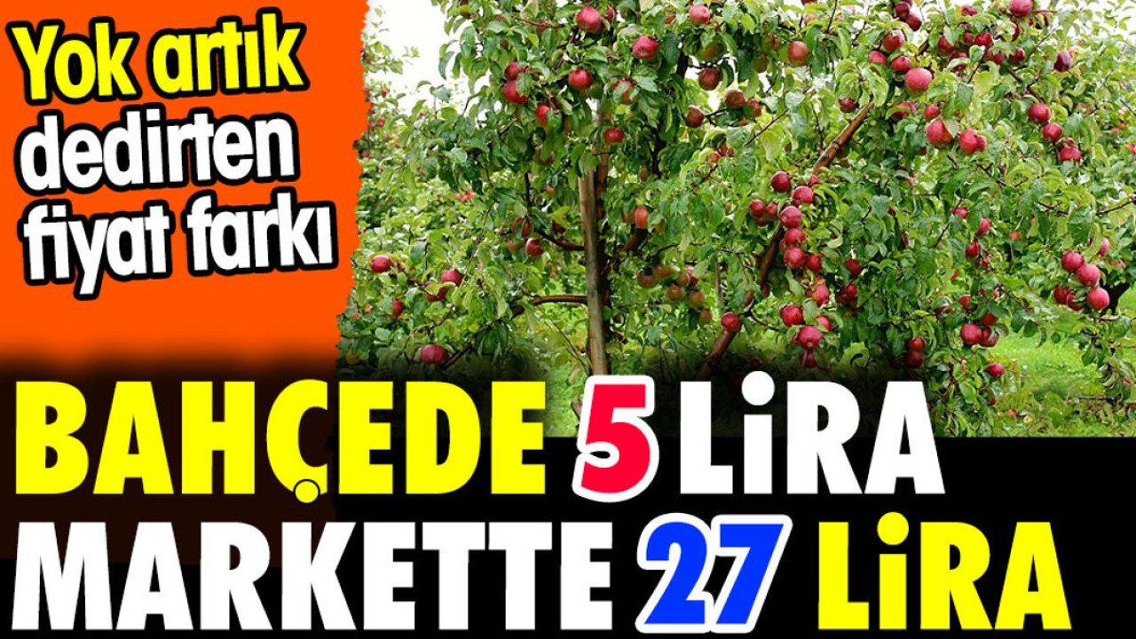 Bahçede 5 lira markette 27 lira. Yok artık dedirten fiyat farkı