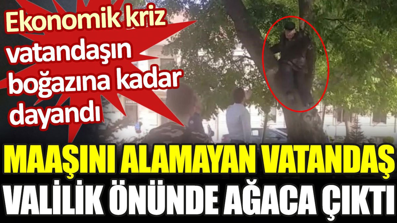 Maaşını alamayan vatandaş valilik önünde ağaca çıktı
