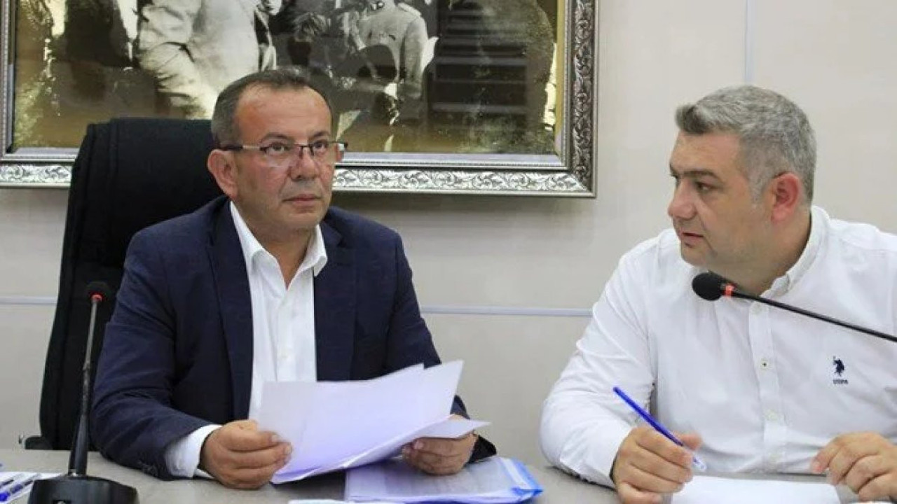 Bolu Belediyesi'nden yeni karar: Kente köpek bırakanlara 5 milyona kadar para cezası