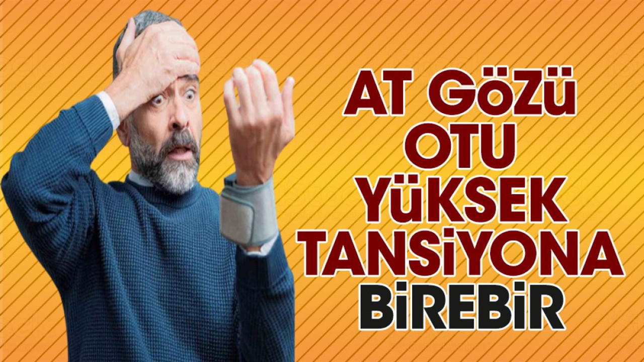 Yüksek tansiyona iyi gelen mucize bitki