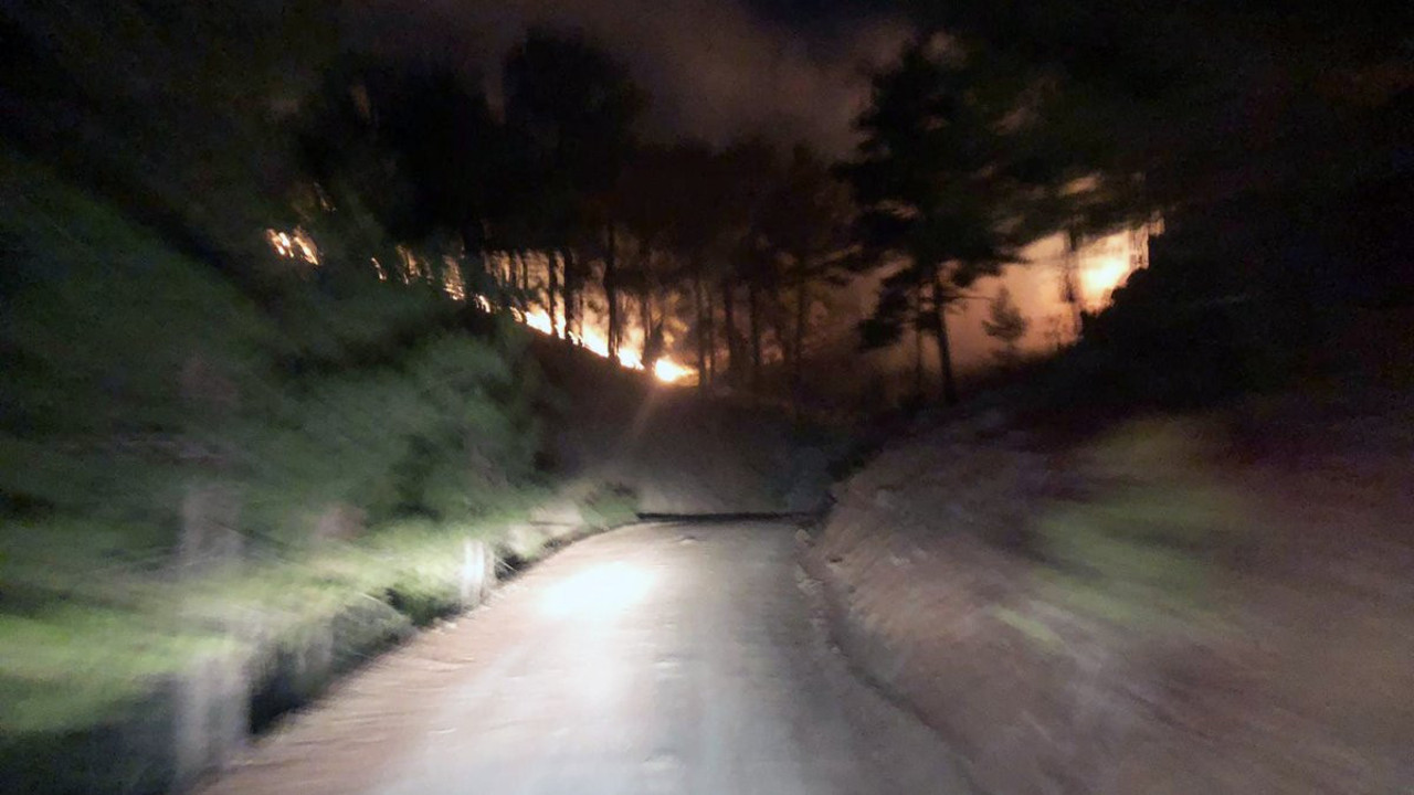 Muğla’da 3 hektarlık alan yandı