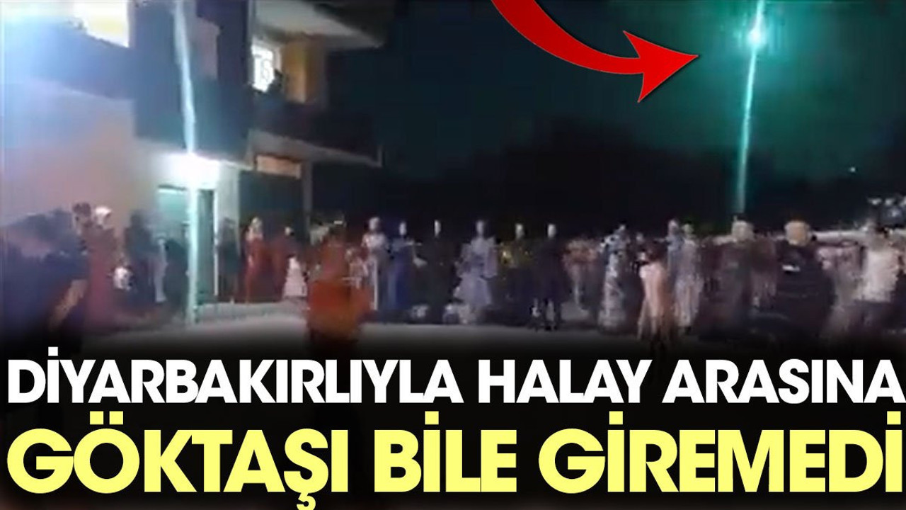 Diyarbakırlıyla halay arasına göktaşı bile giremedi
