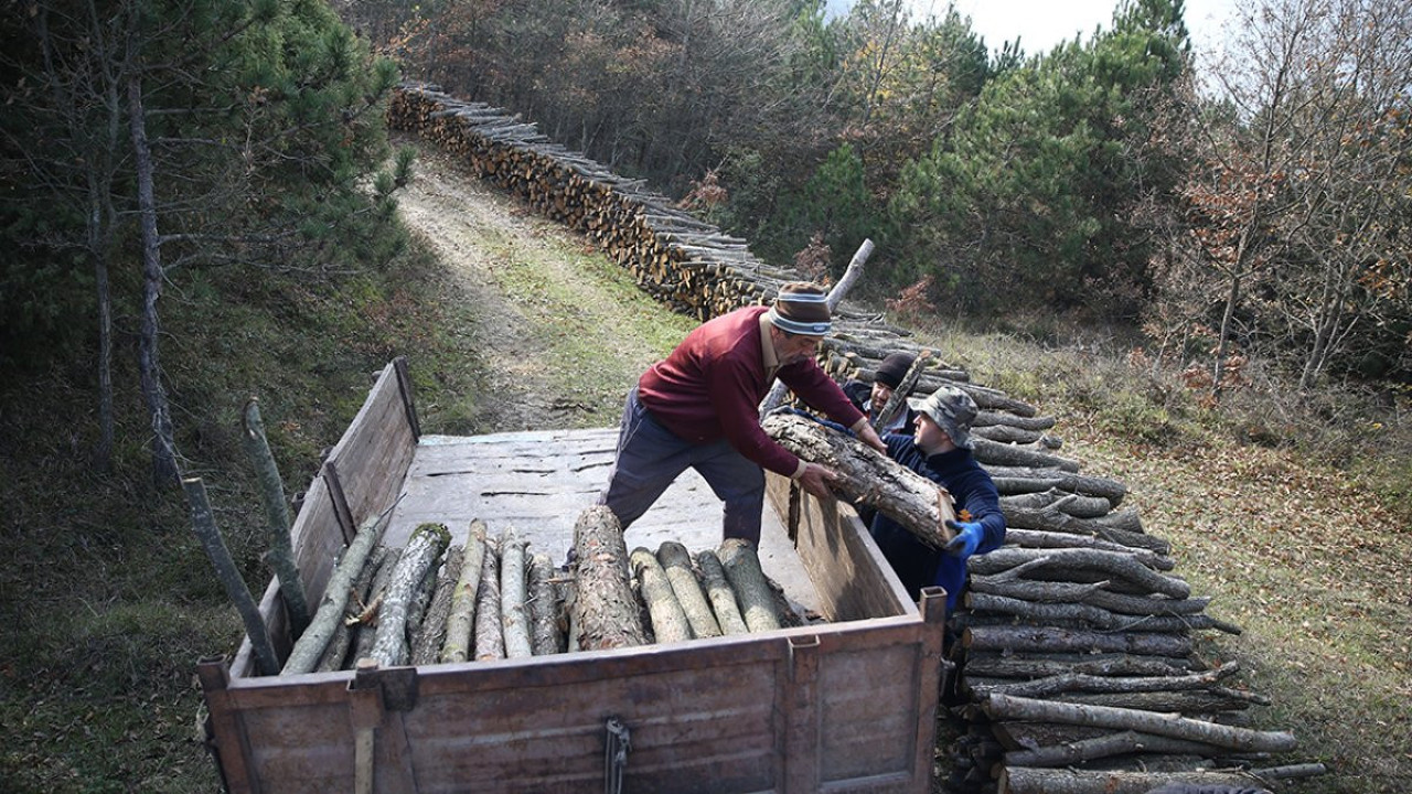 Orman köylülerine ‘felaketzede’ düzenlemesi: Muhtaçlık şartı aranmayacak