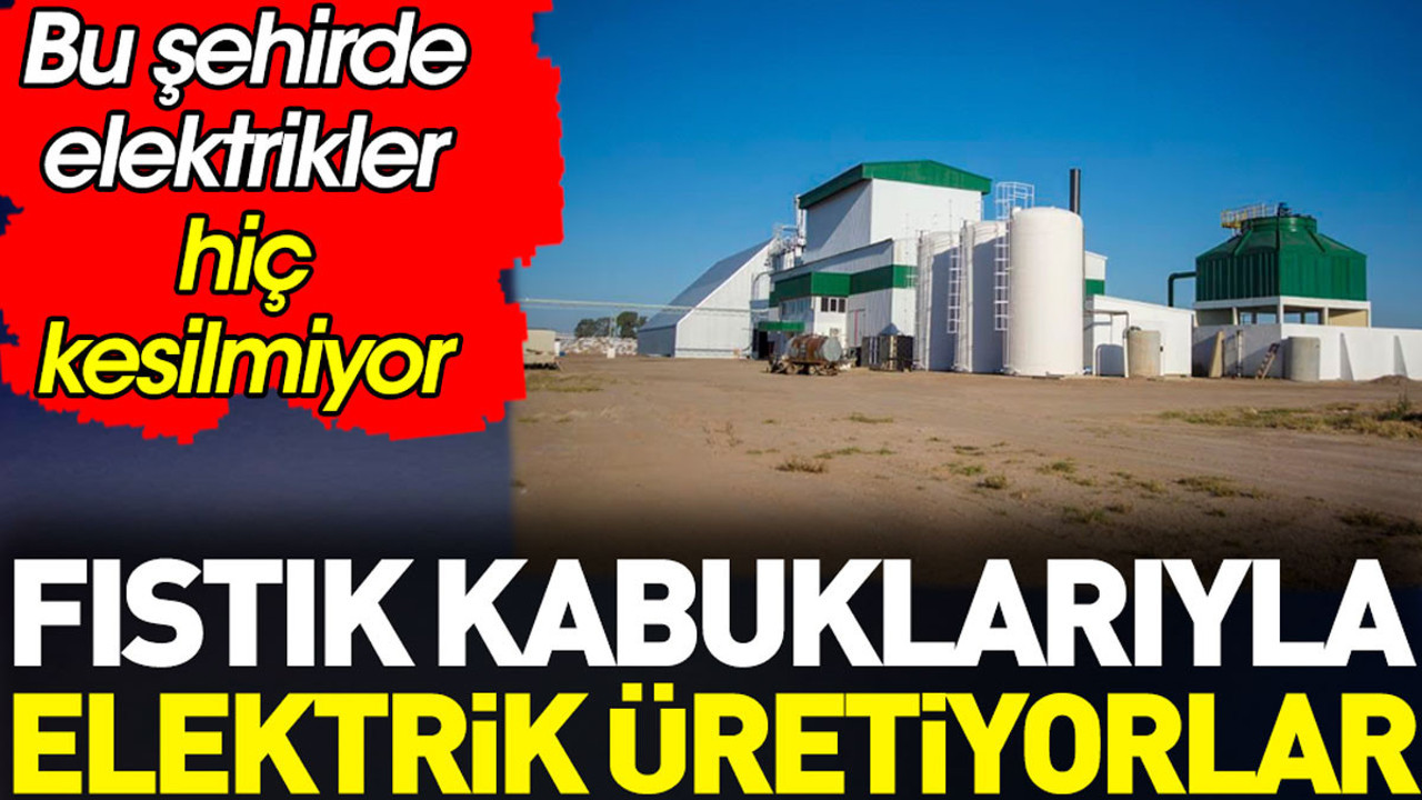 Fıstık kabuklarıyla elektrik üretiyorlar. Bu şehirde elektrikler hiç kesilmiyor
