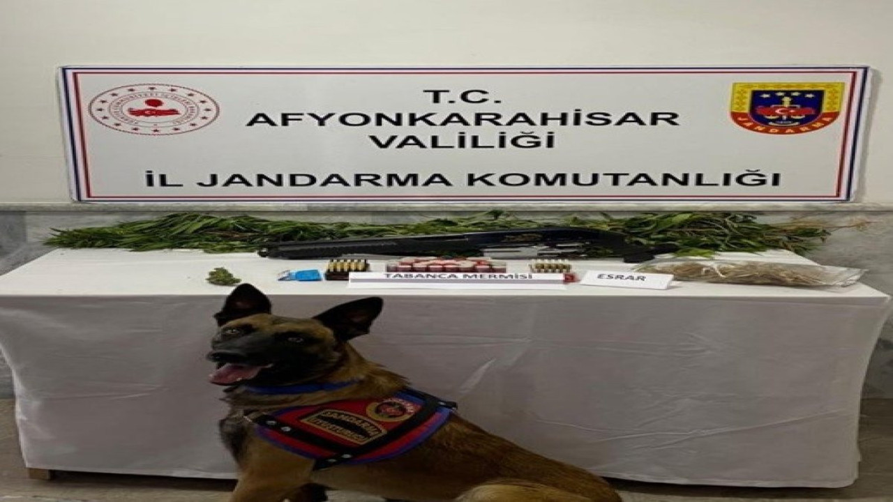 Afyon'da kenevir yetiştiren şahıs yakalandı