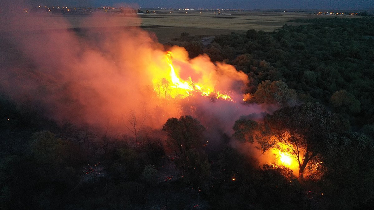 Ağrı'da ağaçlık alanda yangın