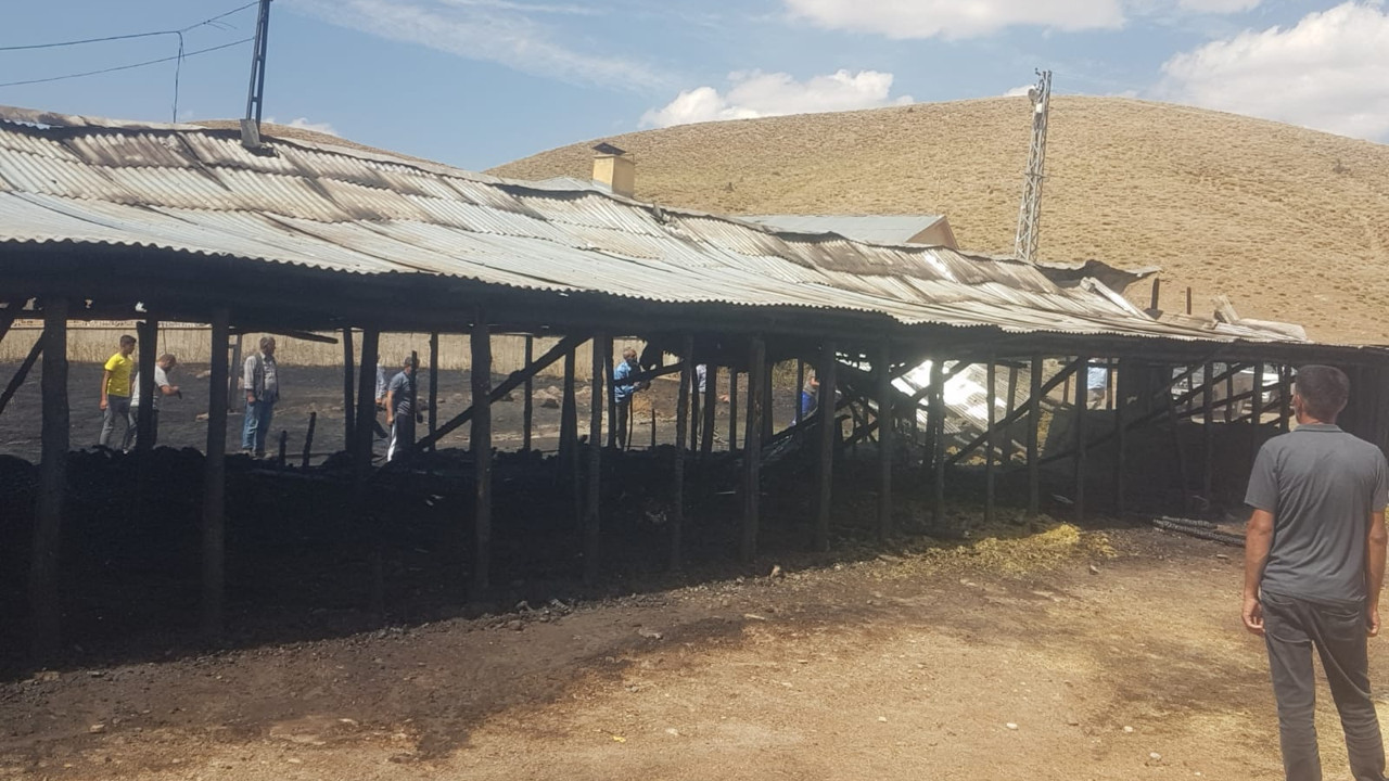 Bingöl'de bir ahırda çıkan yangında 22 hayvan telef oldu
