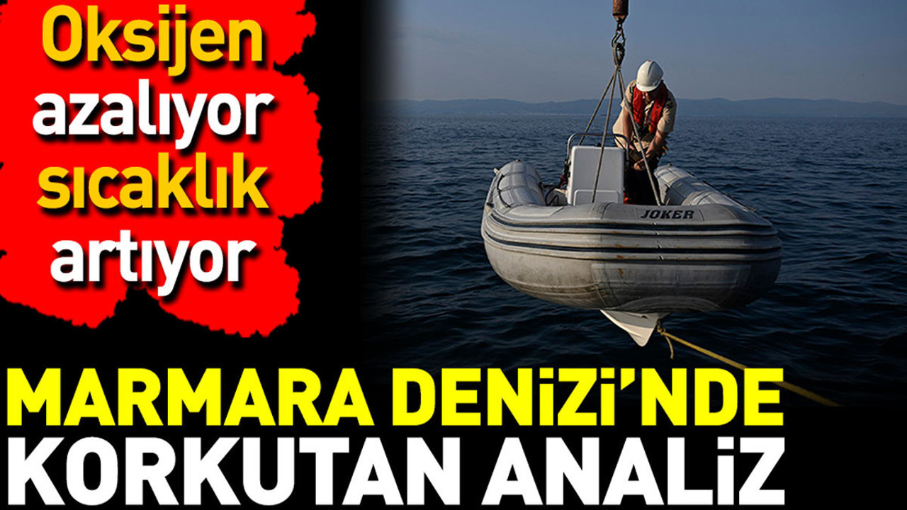 Marmara Denizi’nde korkutan analiz. Oksijen azalıyor sıcaklık artıyor