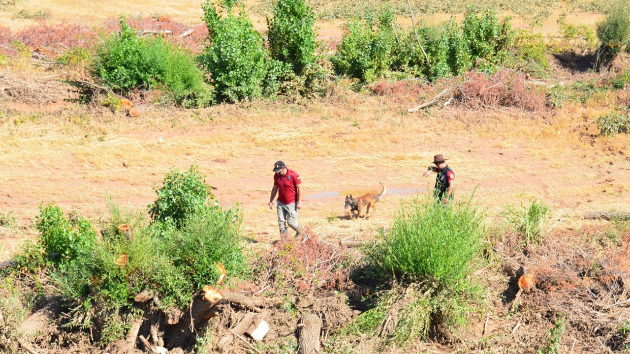 Selde kaybolan Asel'i kadavra köpekleri arıyor