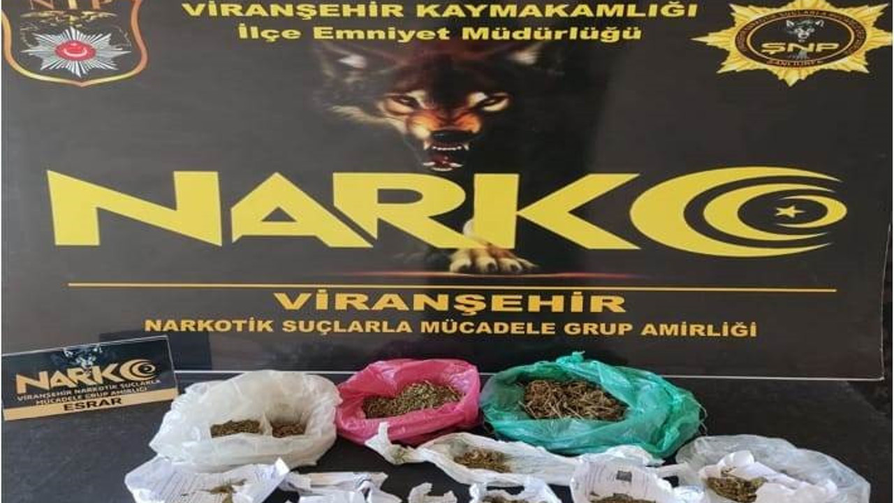 Şanlıurfa'da torbacı operasyonu: 8 gözaltı