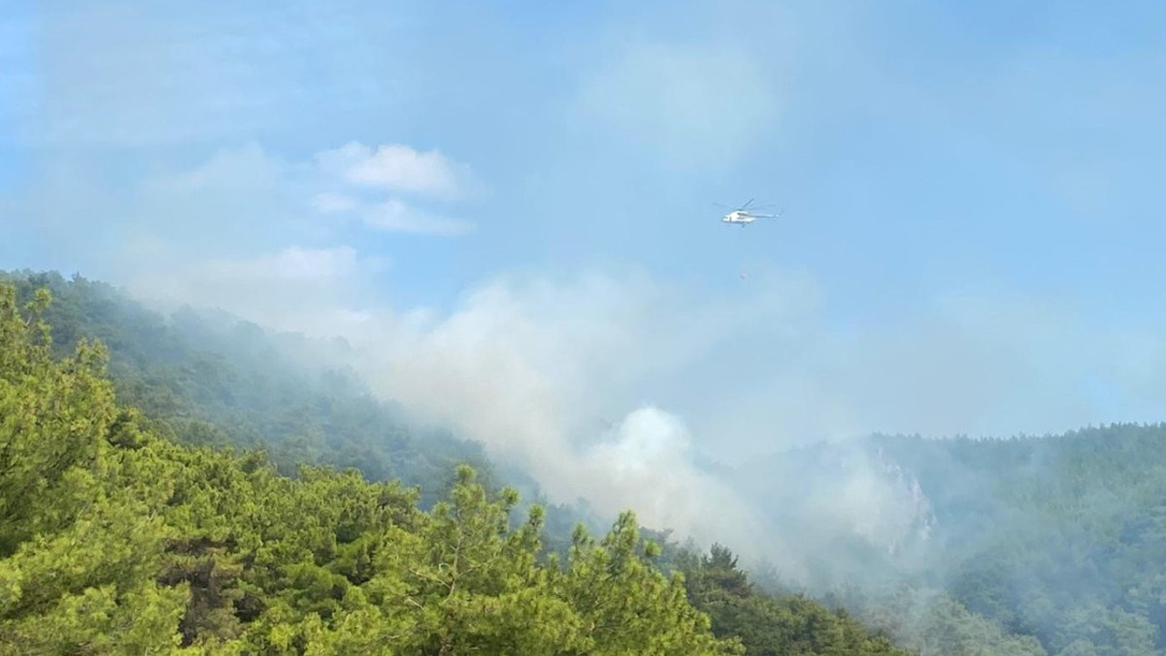 Kazdağları'nda orman yangını. 4 uçakla alevlere müdahale ediliyor