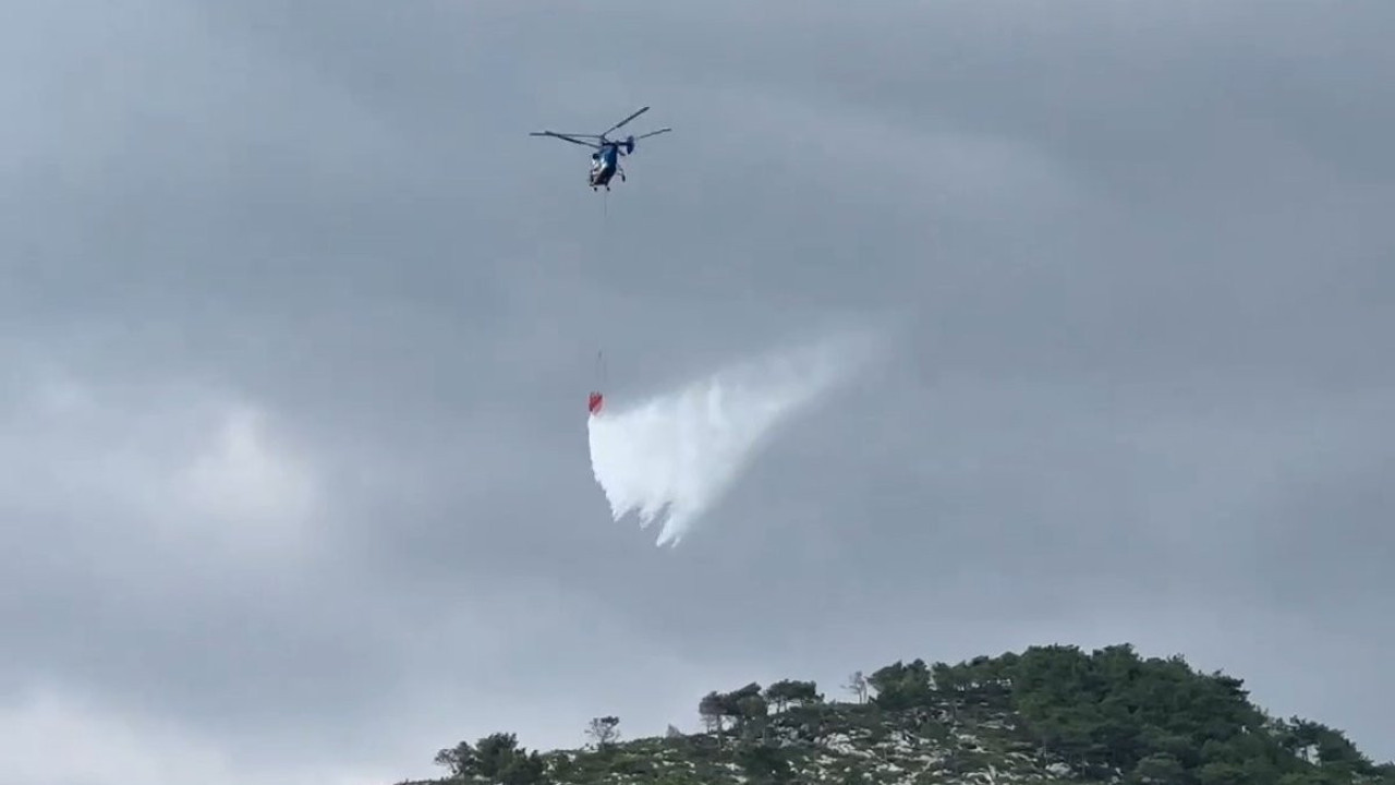 Samandağ'da çıkan orman yangını kontrol altına alındı