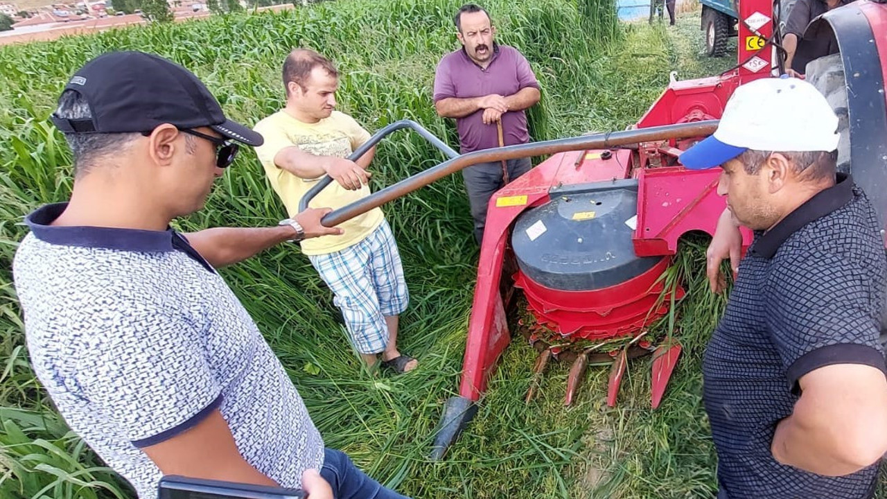 Sorgum sudan otu melezi hasadı yapıldı