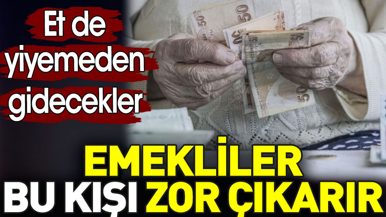 Emekliler bu kışı zor çıkarır. Et de yiyemeden gidecekler