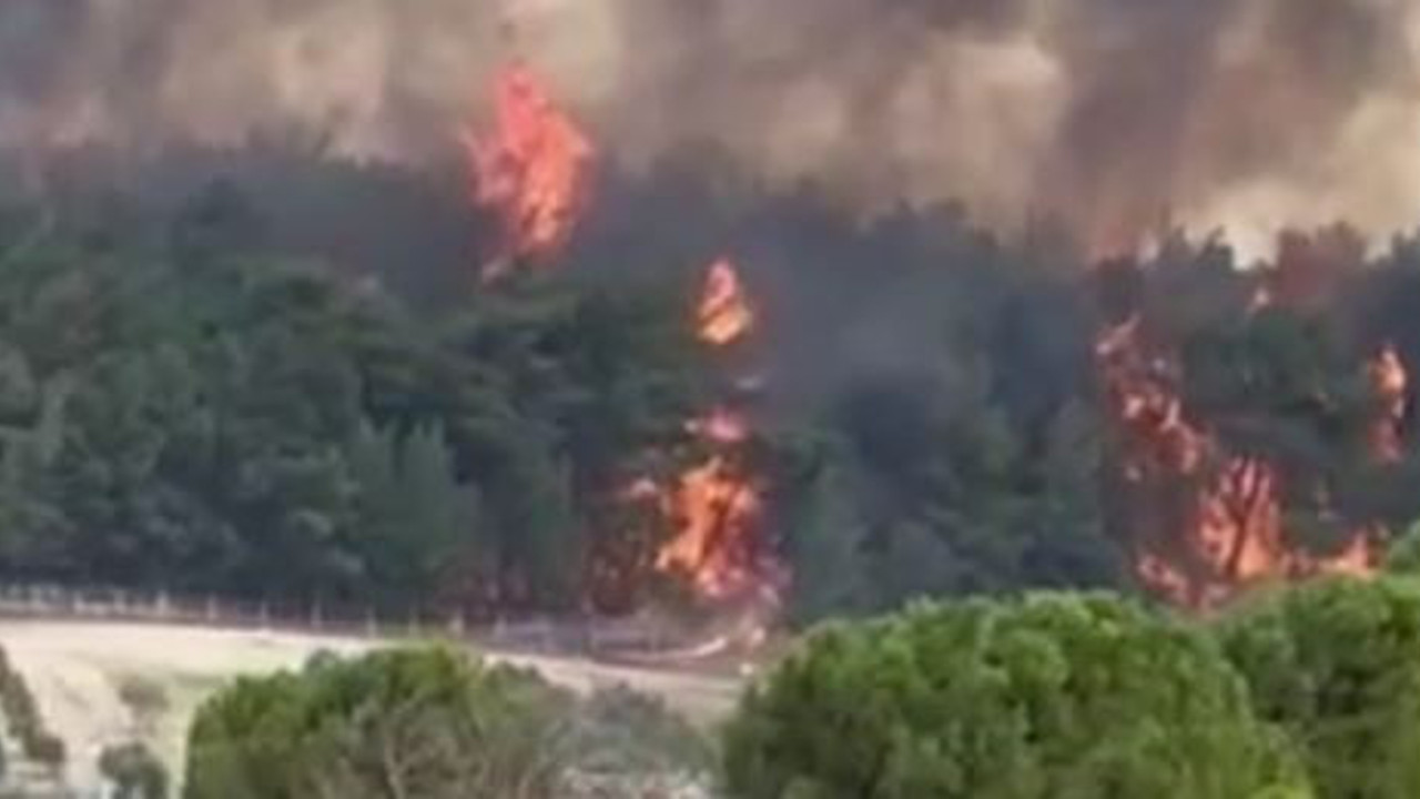 İzmir’deki orman yangını kontrol altında