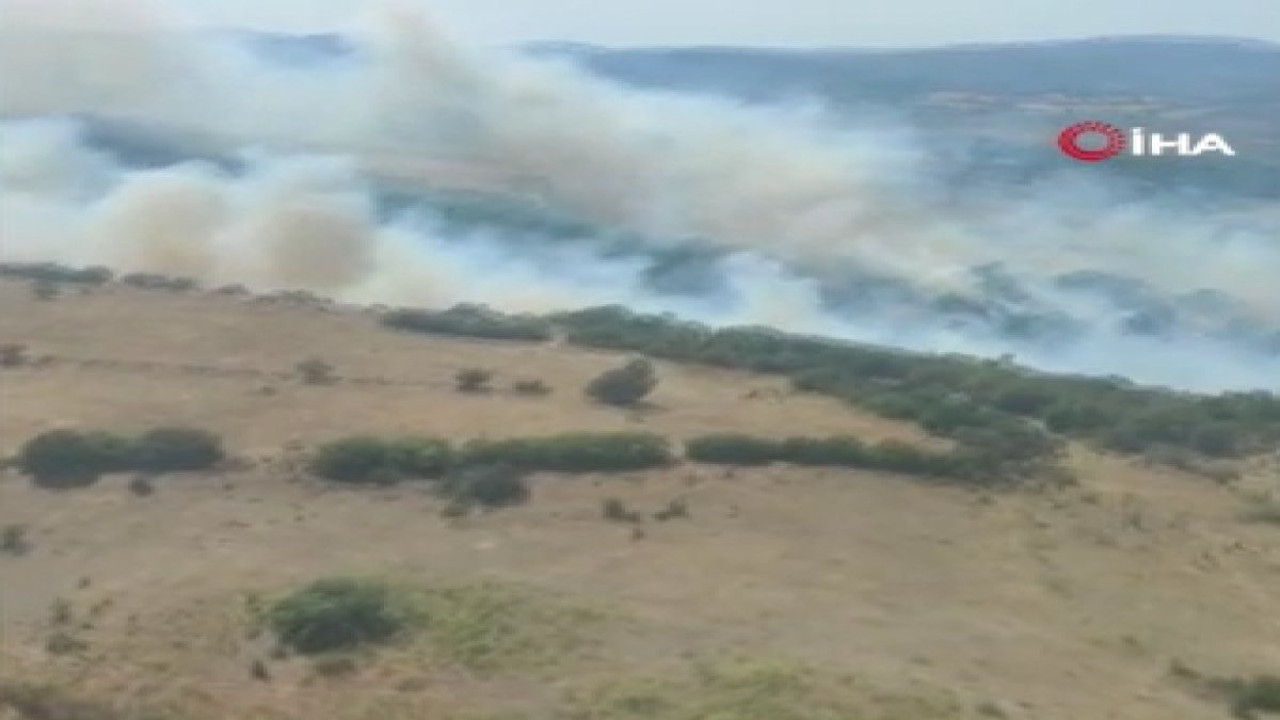 Balıkesir'de anız yangını
