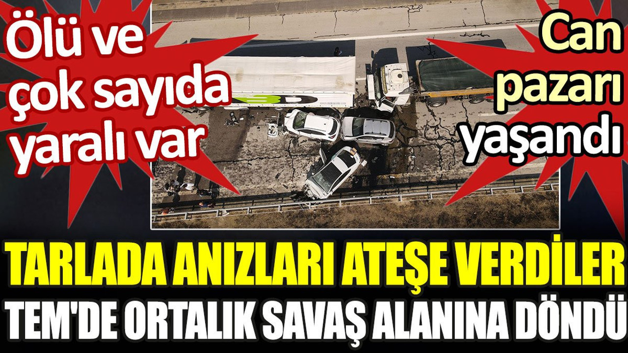 Tarlada anızları ateşe verdiler TEM'de ortalık savaş alanına döndü: Çok sayıda ölü ve yaralı var