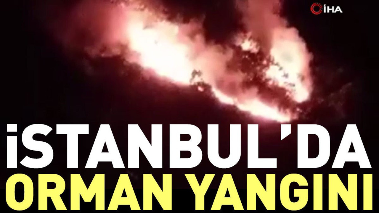 İstanbul'da orman yangını (10 Eylül 2023)