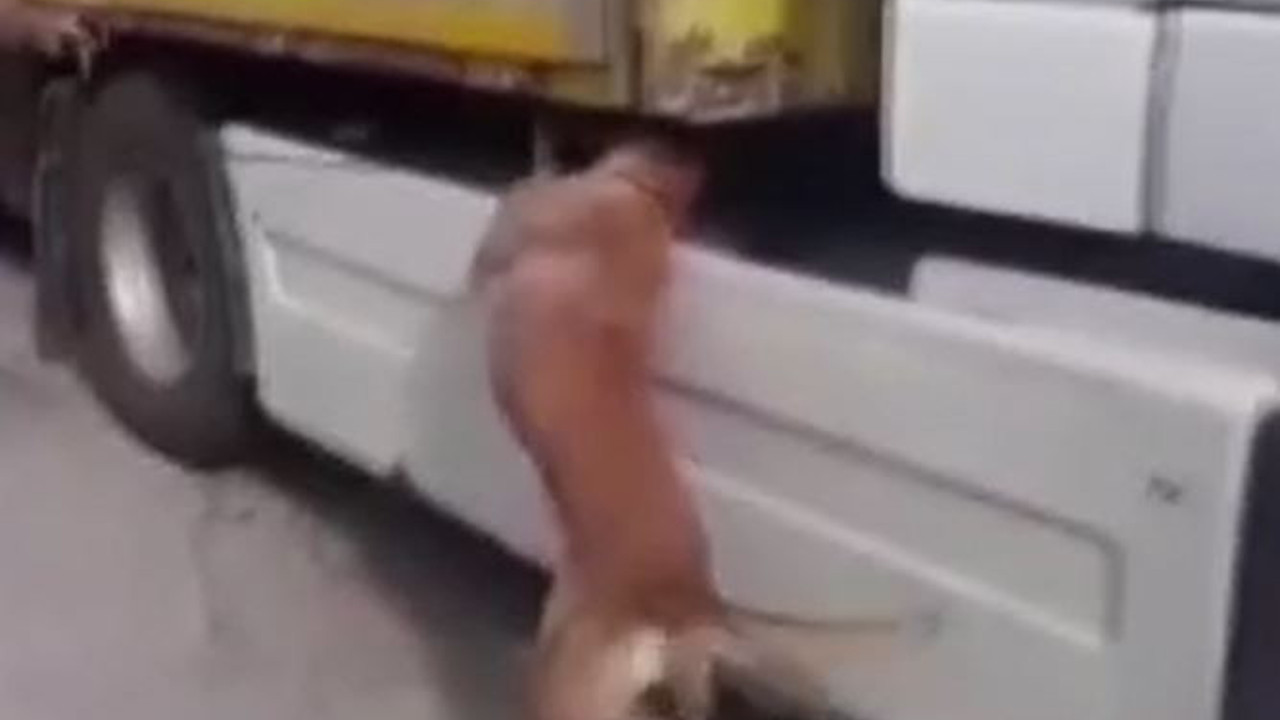 TIR'dan 58 kilo uyuşturucu çıktı