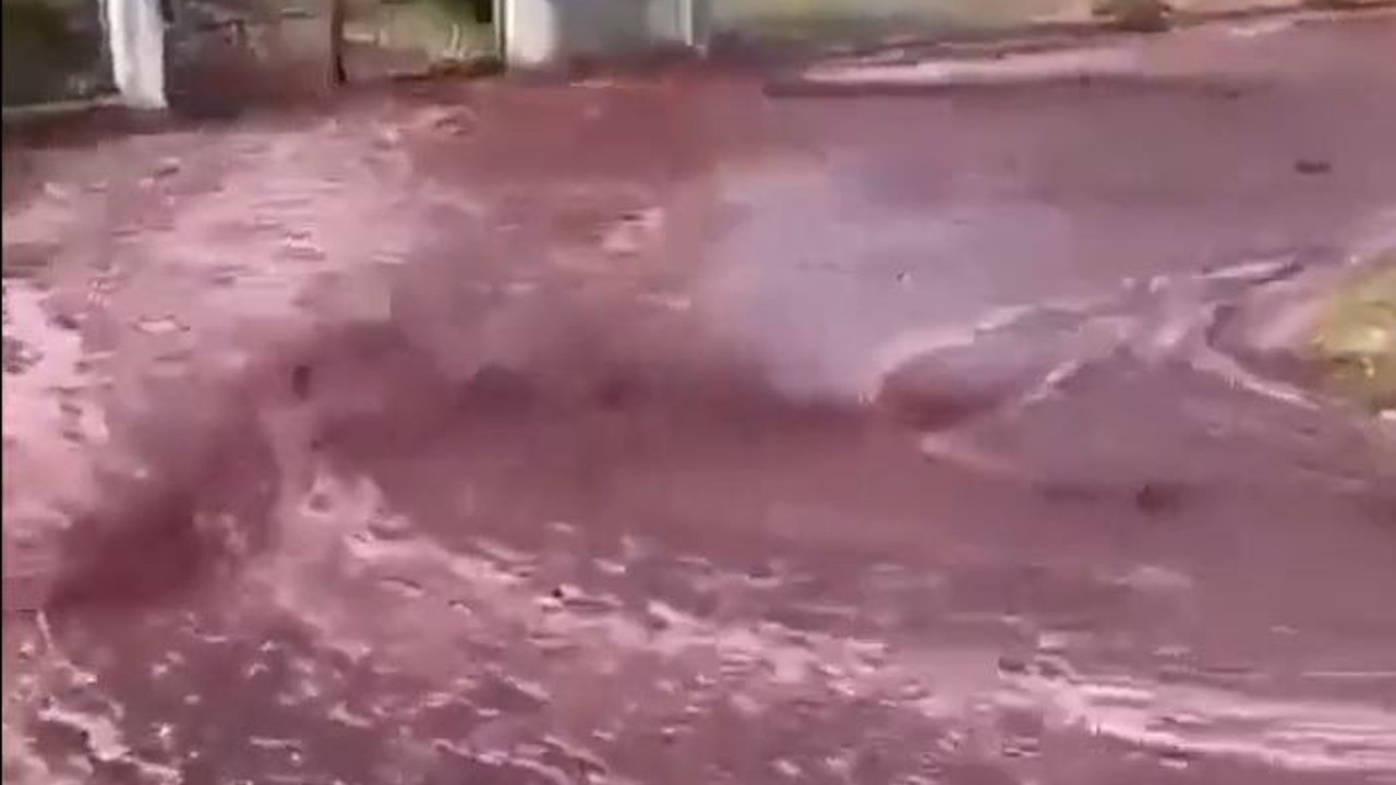 2 milyon litre şarap sokaklarda nehir gibi aktı. Akşamcılar görüntüleri yutkunarak seyretti