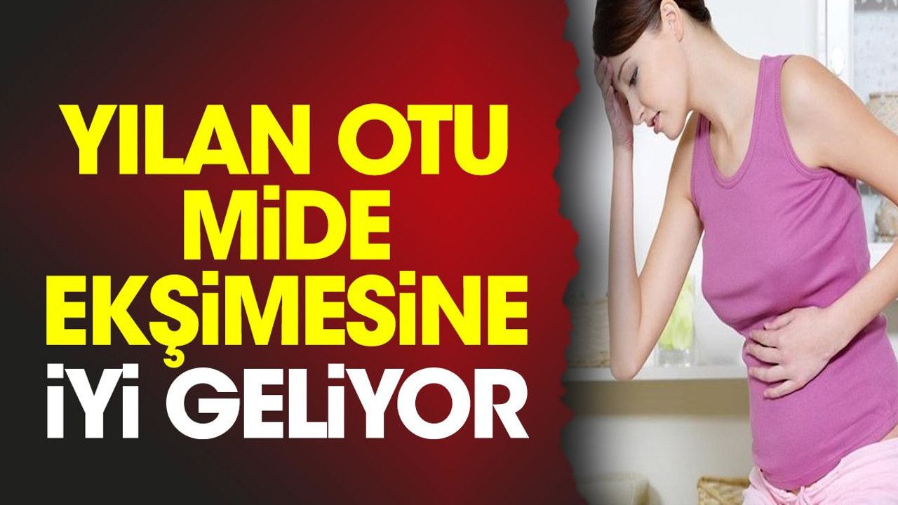 Mide ekşimesine iyi gelen ot