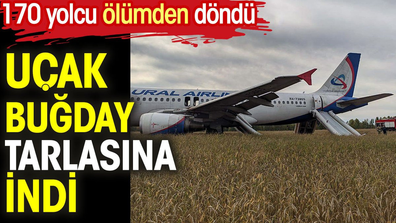 Uçak buğday tarlasına indi. 170 yolcu ölümden döndü