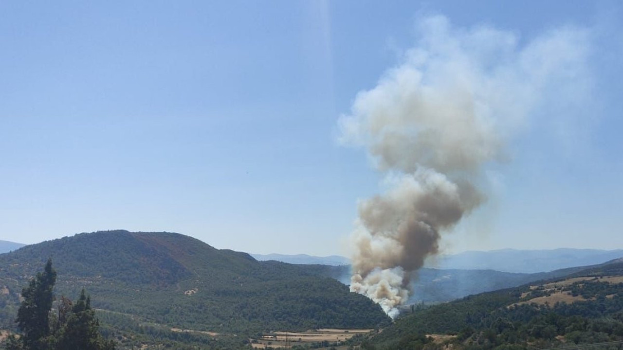 Manisa'da orman yangını (12 Eylül 2023)