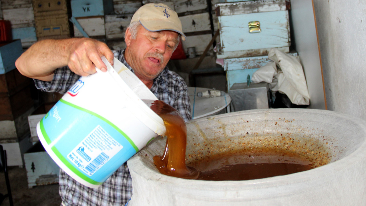 Türkiye'de 15 ton üretildi kilosu 250 TL'den kapışılıyor