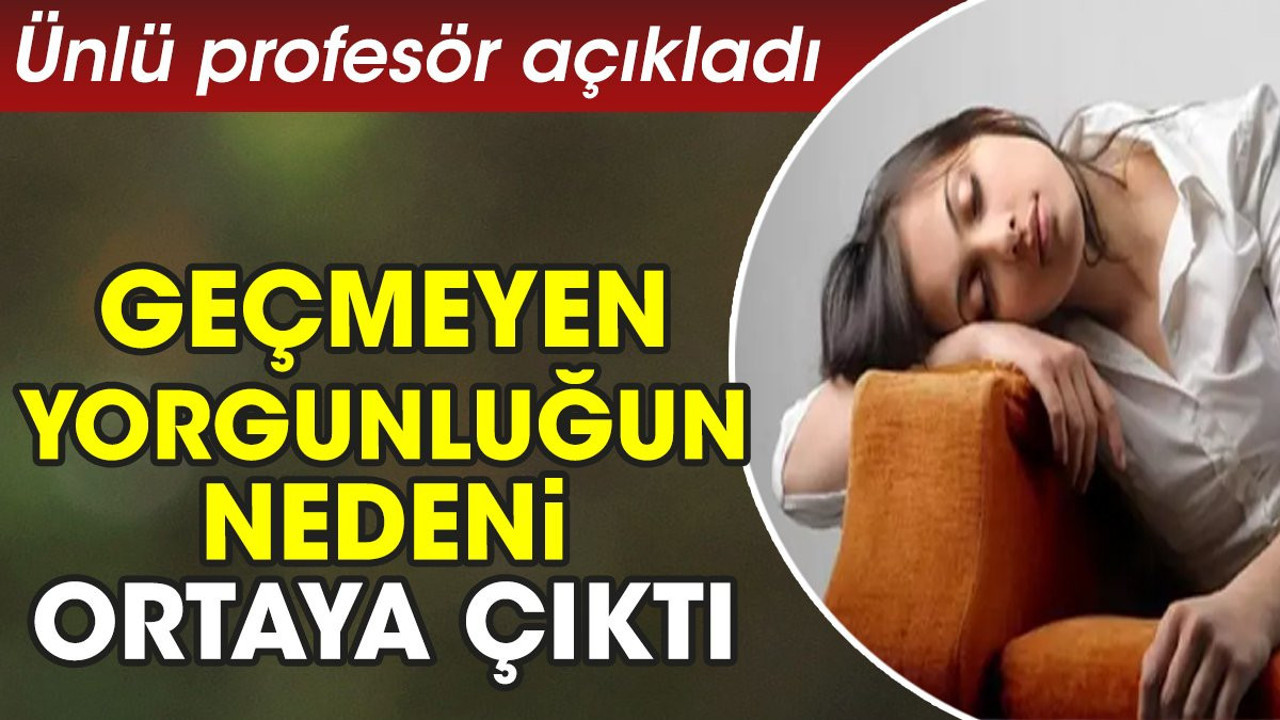 Geçmeyen yorgunluğun nedeni ortaya çıktı. Ünlü profesör açıkladı