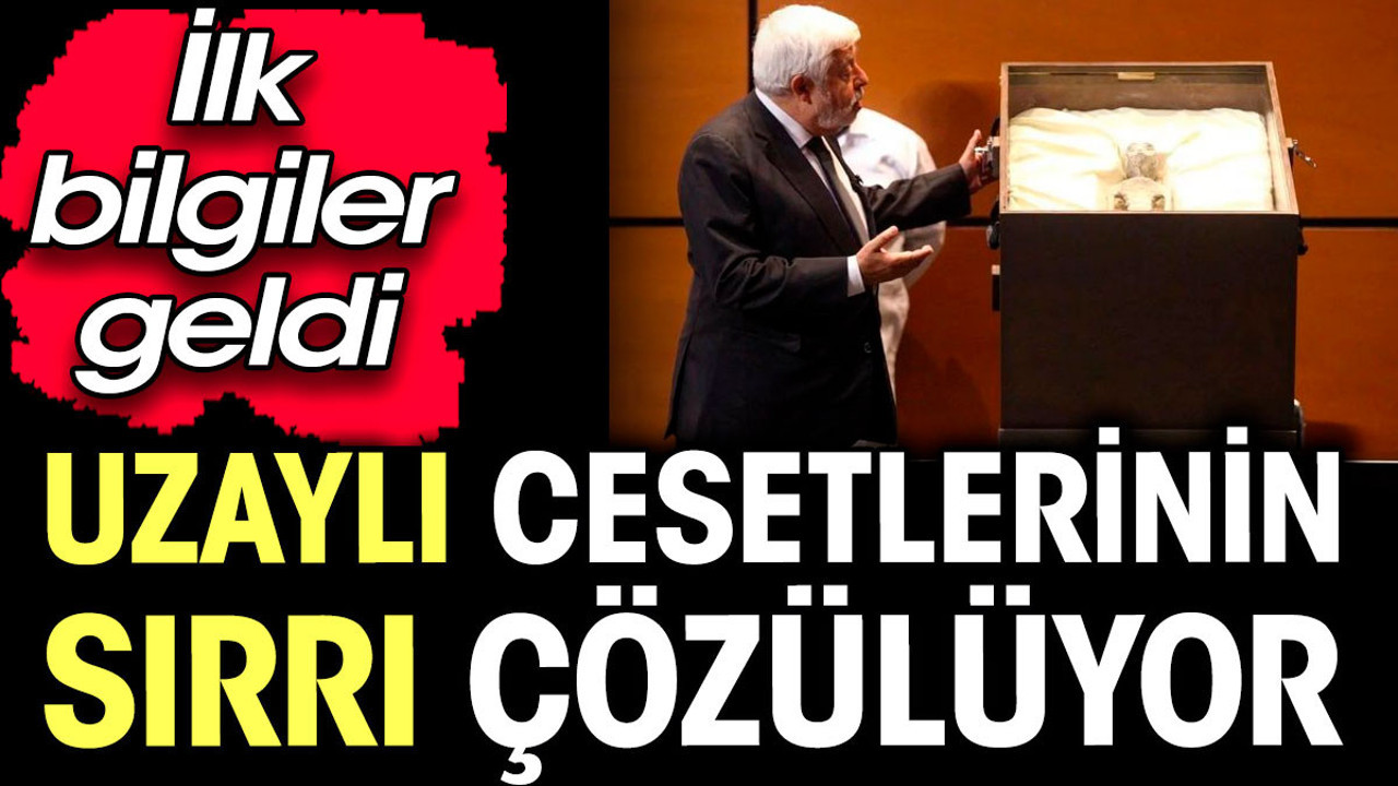 Uzaylı cesetlerinin sırrı çözülüyor. İlk bilgiler geldi