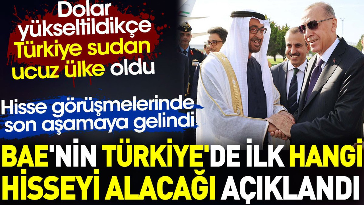 BAE'nin Türkiye'de ilk hangi hisseyi alacağı açıklandı. Dolar yükseltildikçe Türkiye sudan ucuz ülke oldu
