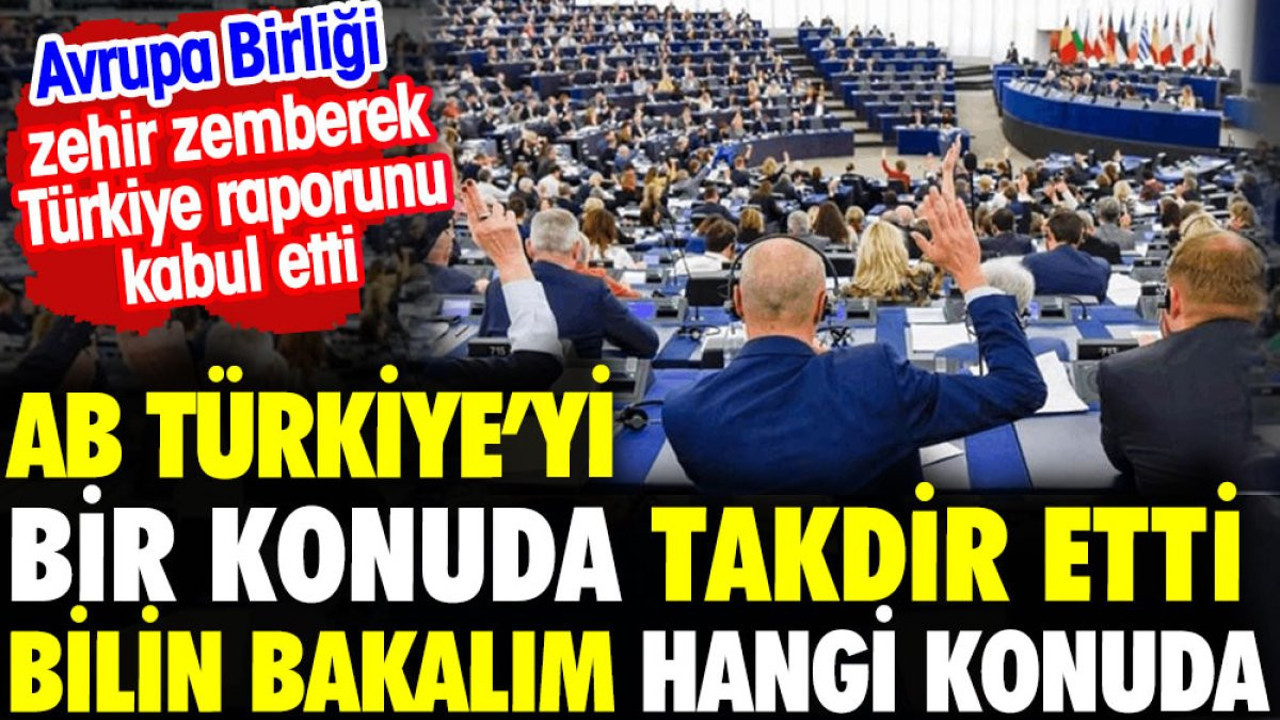 AB Türkiye'yi bir konuda takdir etti. Bilin bakalım hangi konuda
