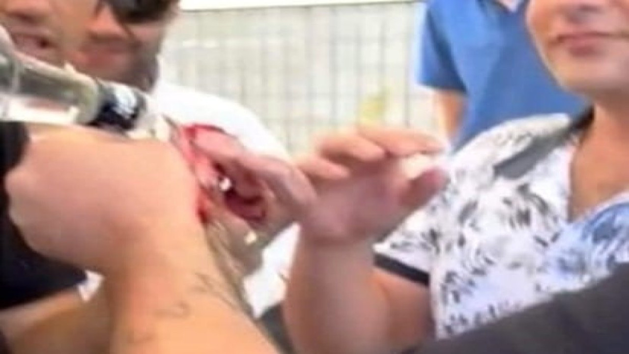 Denizli'de sarhoş olan horoz 5 gencin başını yaktı. Jandarma kapılarına dayandı